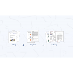 Persönliche Beratung